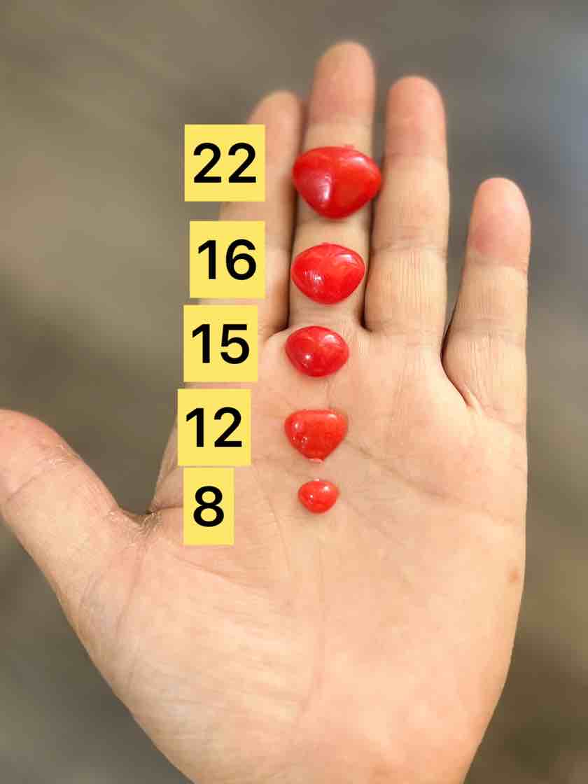 بینی پشت تخت قرمز